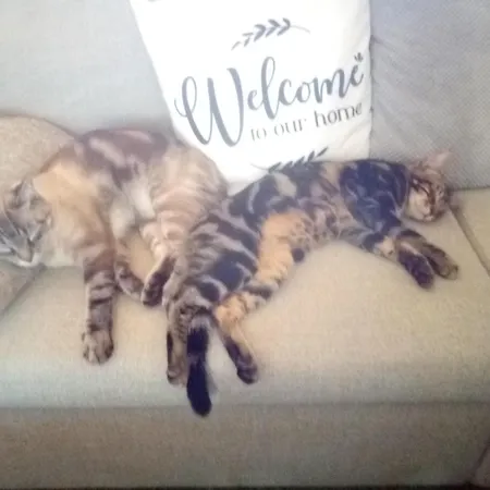 D'hôtes Les Trois Rames