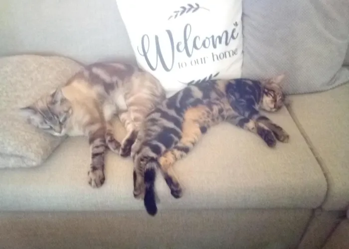 D'hotes Les Trois Rames